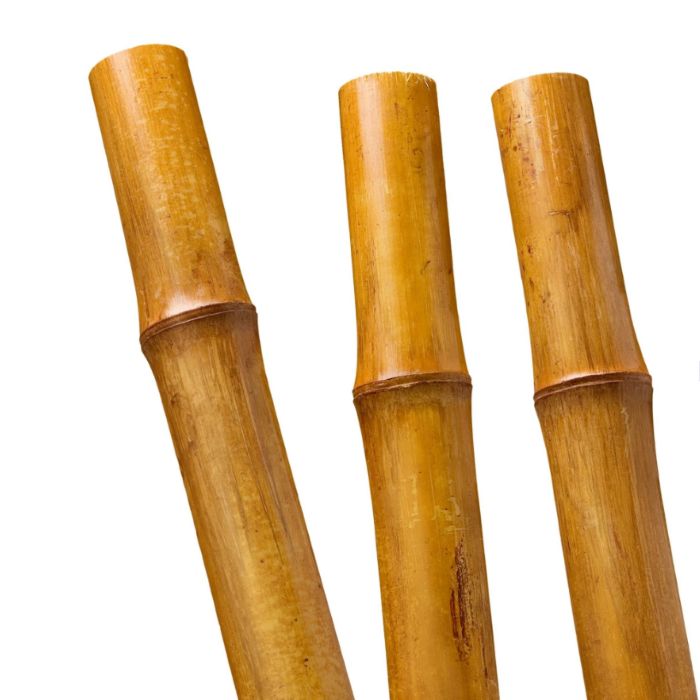BioBamboo Stick – bambusová tyčka do terária 60 cm - Varianty: ⌀ 22–30 mm