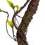 Umelá vetva s listami do terária Terrario – 75 cm