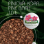Terrabloom borová kůra – Pine Bark 10 l