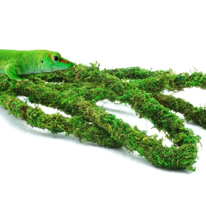 BioBranch Green Moss – flexibilní liána s mechem 200 × 2 cm