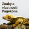 Znaky a vlastnosti Pagekóna riasnatého