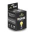 Terrario Bogande Basking Sun Light – bodová topná žárovka do terária - Varianty: 75W