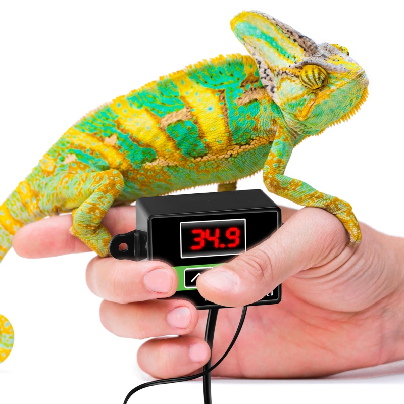 Terarijný termostat so sondou - Terrario Morante