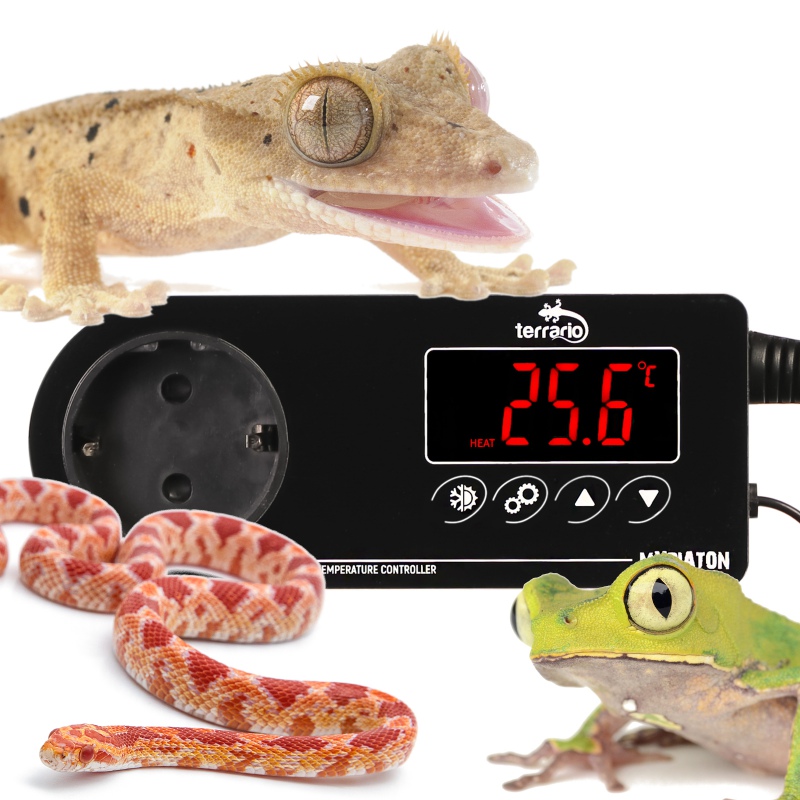 Elektronický termostat do terária Terrario Myriaton