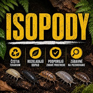 Isopody (Rovnakonôžky)