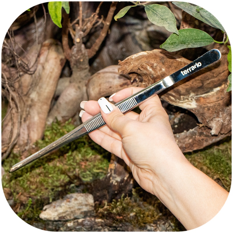 Pinzeta rovná 30 cm – Terrario ViperTweez Simple L