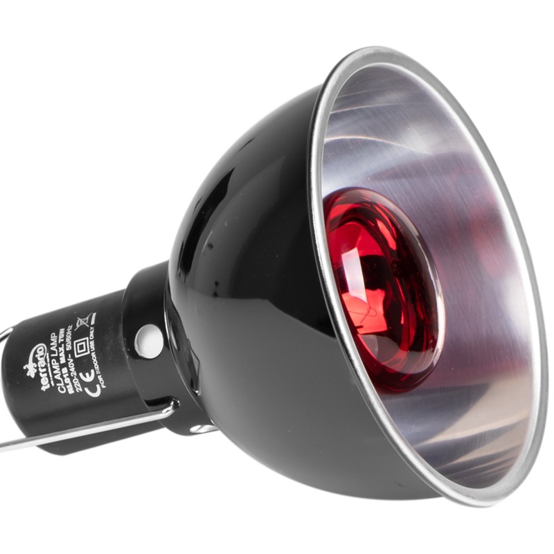 Terrario Biosphere Light – lampa s keramickou objímkou E27