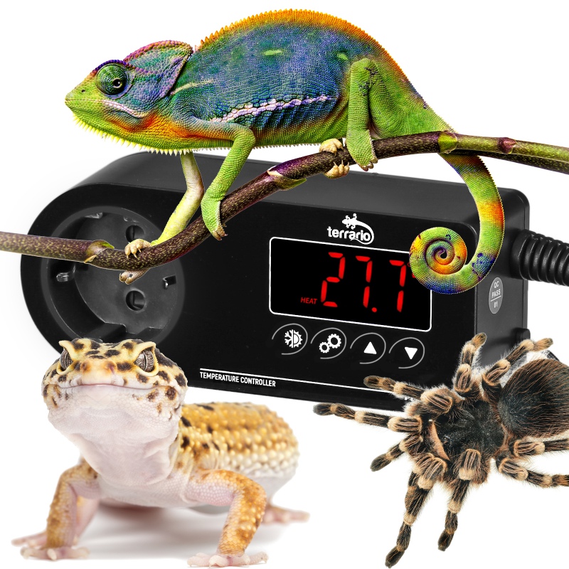 Elektronický termostat do terária Terrario Myriaton