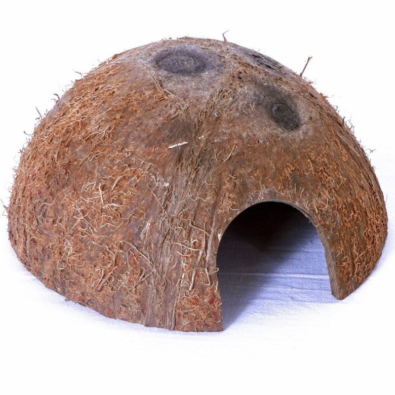 Přírodní kokosový úkryt do terária Terrario CocoCave L – poloviční kokos