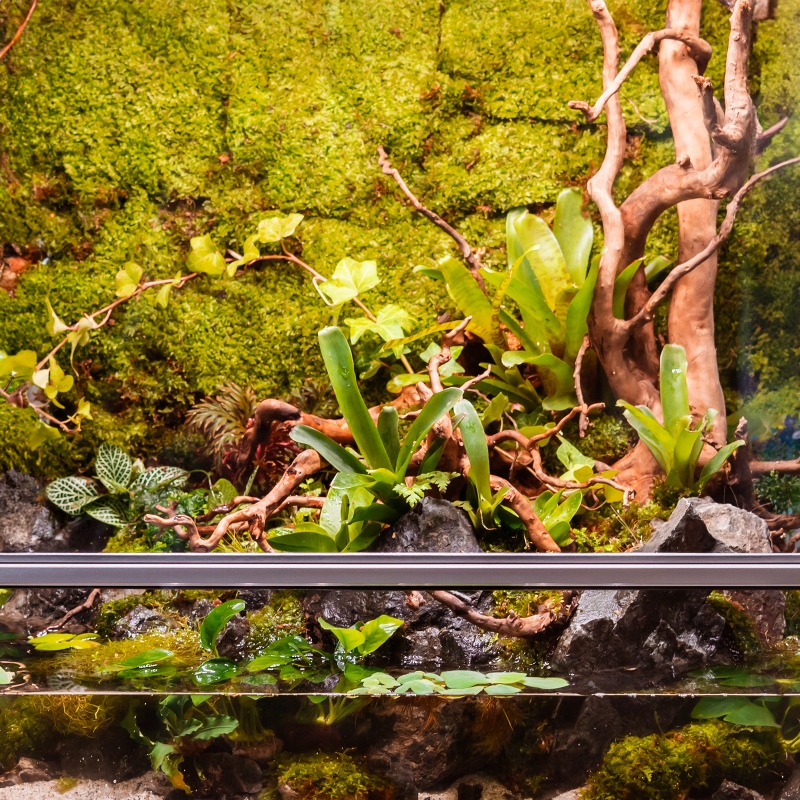 Přírodní mech 35×28 cm - Shadow Forest Moss