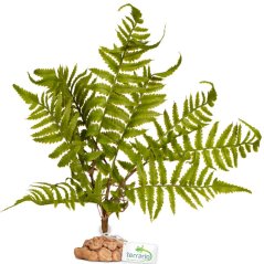 Umelá papraď do terária Terrario – 32 × 15 × 32 cm
