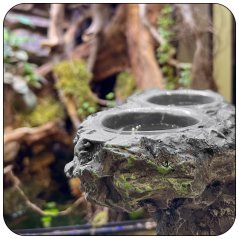 Terarijní závěsné krmítko s miskami 23x10x8cm – imitace skály