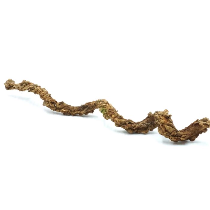 BioCork Liana – korková liana do terária 50 cm