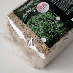 Terrabloom rašelinník - Moss 12 l