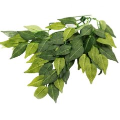 Repti-Zoo figovník 40 cm – visiaca rastlina do terária