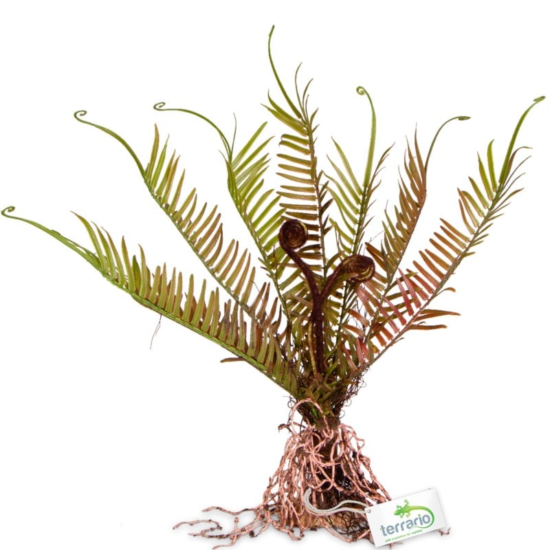 Velká umělá rostlina do terária - Kapradina 40×14×41 cm
