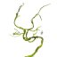 BioBranch Green Liana M do terária 115 cm