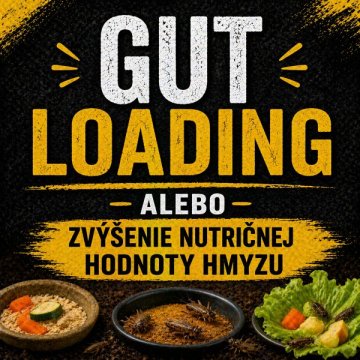 Gut Loading - nebo zvýšení nutriční hodnoty hmyzu