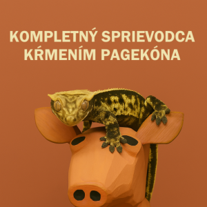 Kompletný sprievodca kŕmením pagekóna riasnatého.