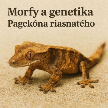 Morfy a genetika Pagekona řasnatého