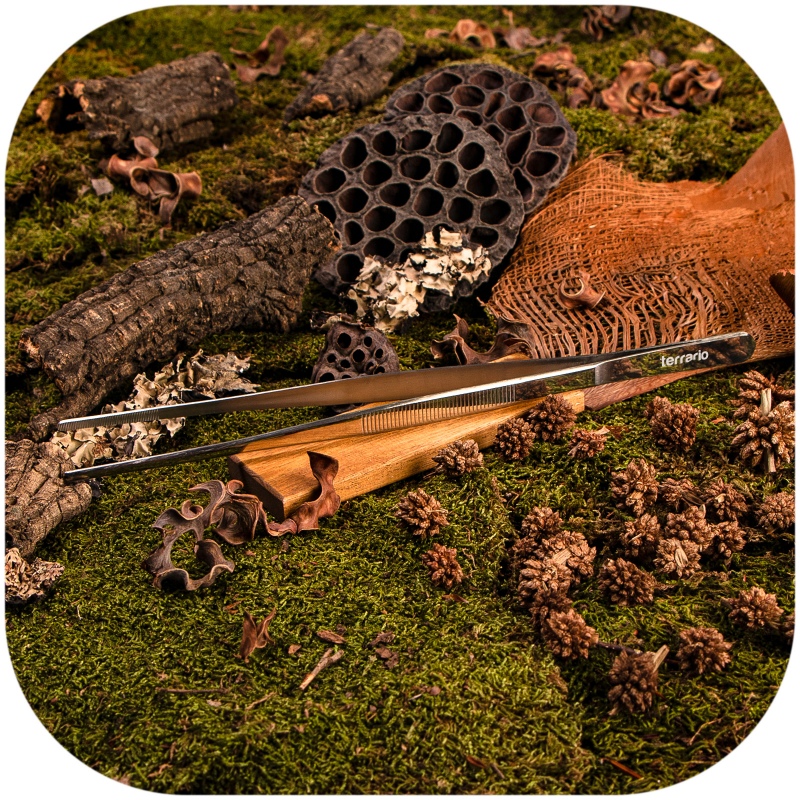 Pinzeta rovná 30 cm – Terrario ViperTweez Simple L