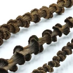 BioBanana Liana – banánová liana do terária 30–45 cm