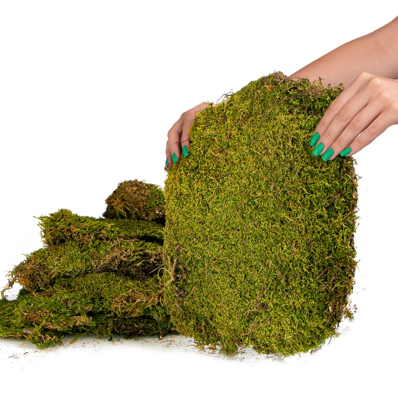 Přírodní mech 35×28 cm - Shadow Forest Moss