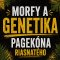 Morfy a genetika Pagekona řasnatého