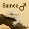 ♂ Samec