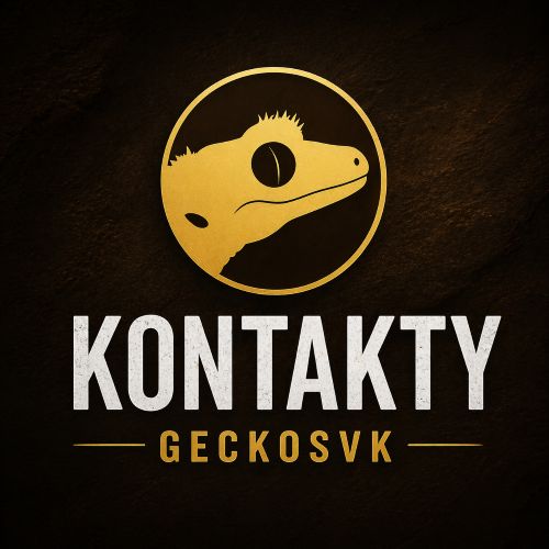 Kontakt