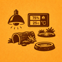 Vybavenie terária a doplnky - Varianty - 75W