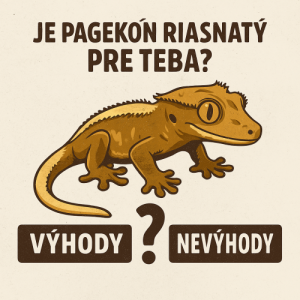 Je pagekón riasnatý pre teba? Výhody a nevýhody v porovnaní s inými druhmi