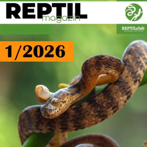 REPTIL magazín - tištěný teraristický časopis 1/2026