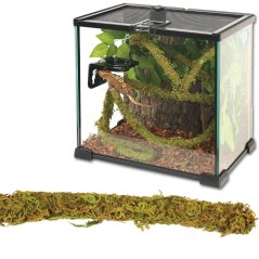 Jungle Vines – liána s mechem (2 × 200 cm)