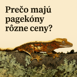 Prečo majú pagekóny rôzne ceny?