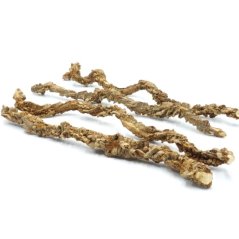 BioCork Liana – korková liana do terária 50 cm