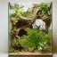 Umelá papraď do terária Terrario – 32 × 15 × 32 cm