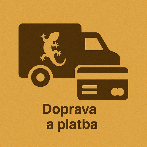 Doprava a platba