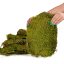 Přírodní mech 35×28 cm - Shadow Forest Moss