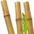 BioBamboo Stick – bambusová tyčka do terária 60 cm