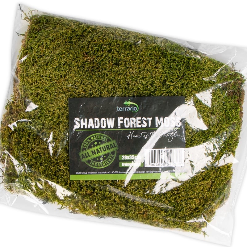 Přírodní mech 35×28 cm - Shadow Forest Moss