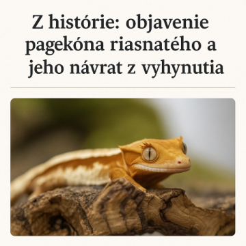 Z histórie: Objavenie pagekóna riasnatého a jeho návrat z „vyhynutia“
