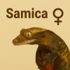 ♀Samica