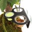 Gecko Bar Trio Black – trojitá miska na vodu, krmivo a jelly pot