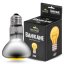 Terrario Banikane Neodymium Light – neodymová topná žárovka do terária
