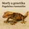 Morfy a genetika Pagekóna riasnatého
