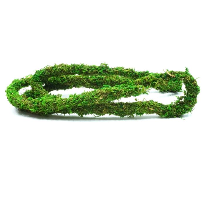 BioBranch Green Moss – flexibilní liána s mechem 200 × 2 cm