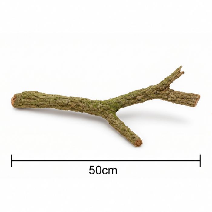BioCork Branch M – korková vetva do terária 50 cm