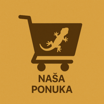 E-shop
