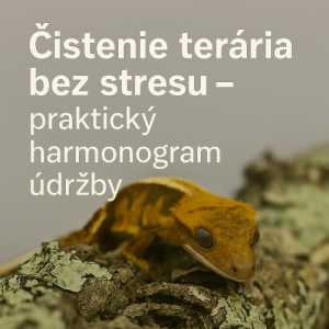 Čistenie terária bez stresu – praktický harmonogram údržby